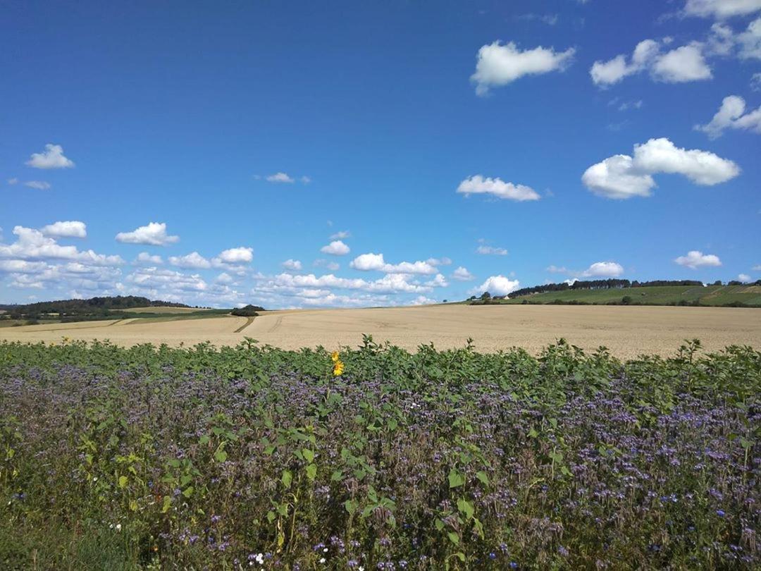 Obere Ferienwohnung Asshoff Zwischen Odenwald, Taubertal Und Bauland Berolzheim エクステリア 写真