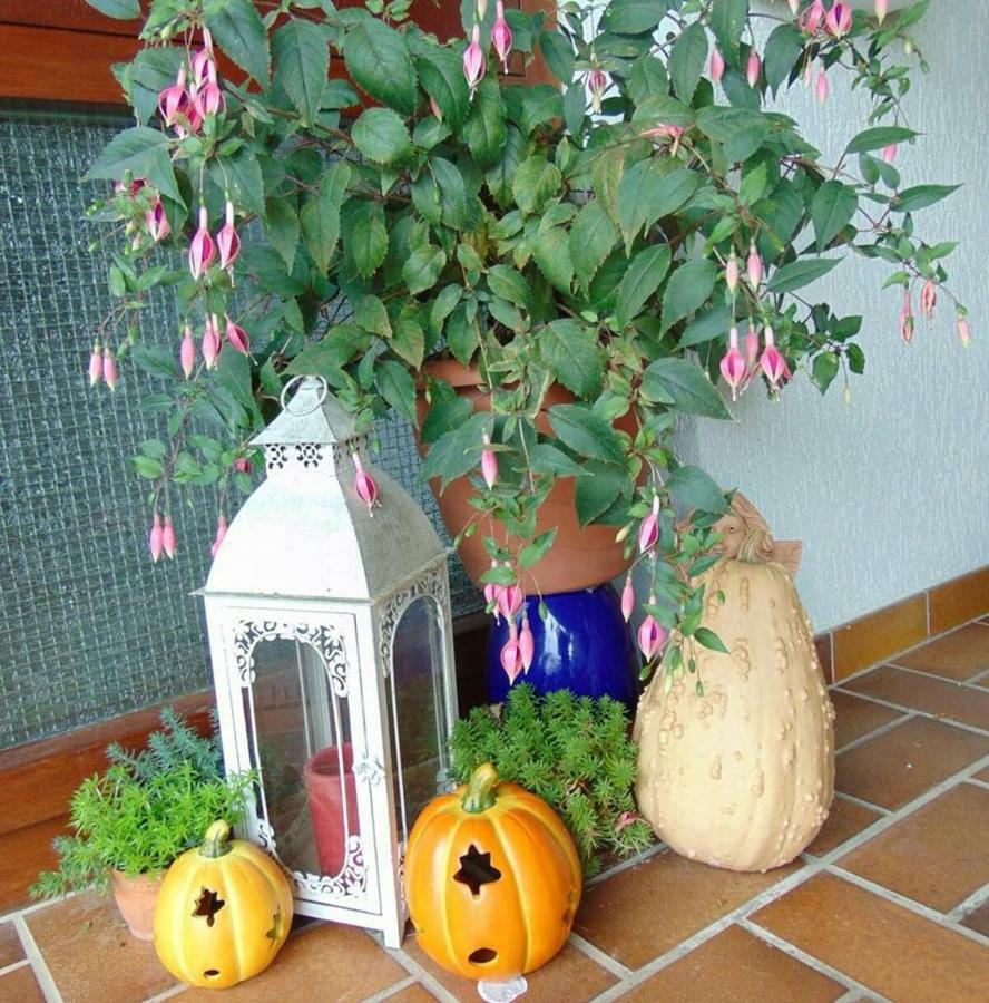 Obere Ferienwohnung Asshoff Zwischen Odenwald, Taubertal Und Bauland Berolzheim エクステリア 写真