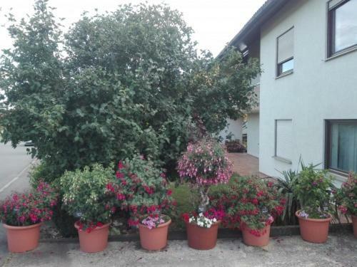 Obere Ferienwohnung Asshoff Zwischen Odenwald, Taubertal Und Bauland Berolzheim エクステリア 写真